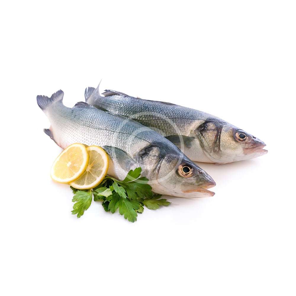 Tiger Trout