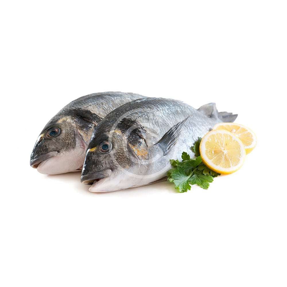 Tuna