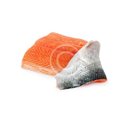 Salmon