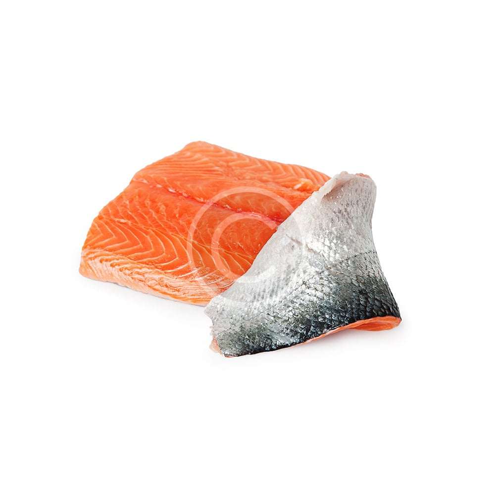 Salmon