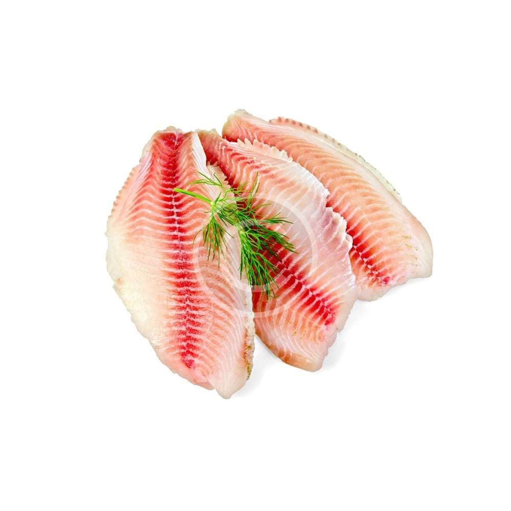 Tilapia