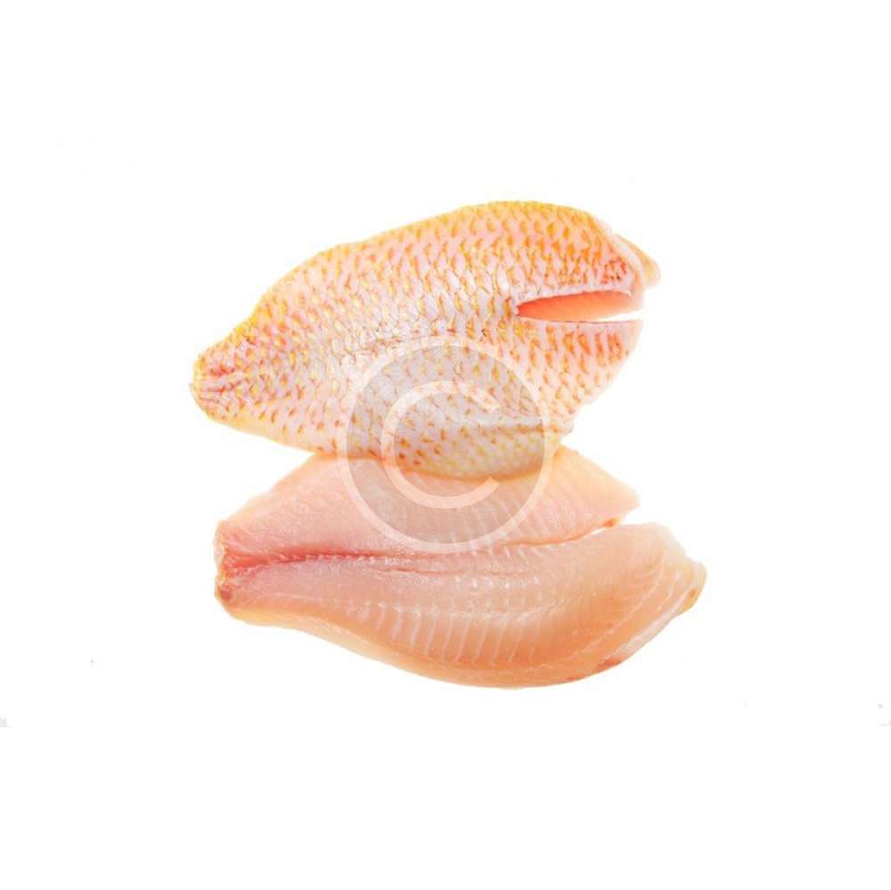 Snapper