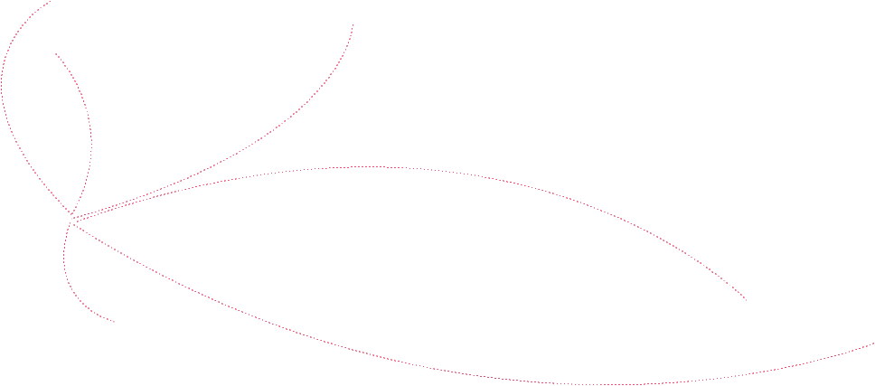 lineas-guia.png